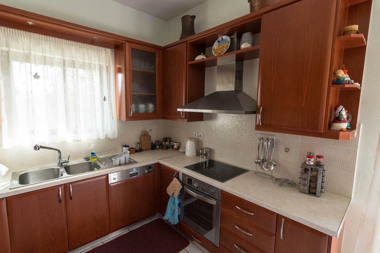 Big Family House In Mesochoria Village Екстер'єр фото
