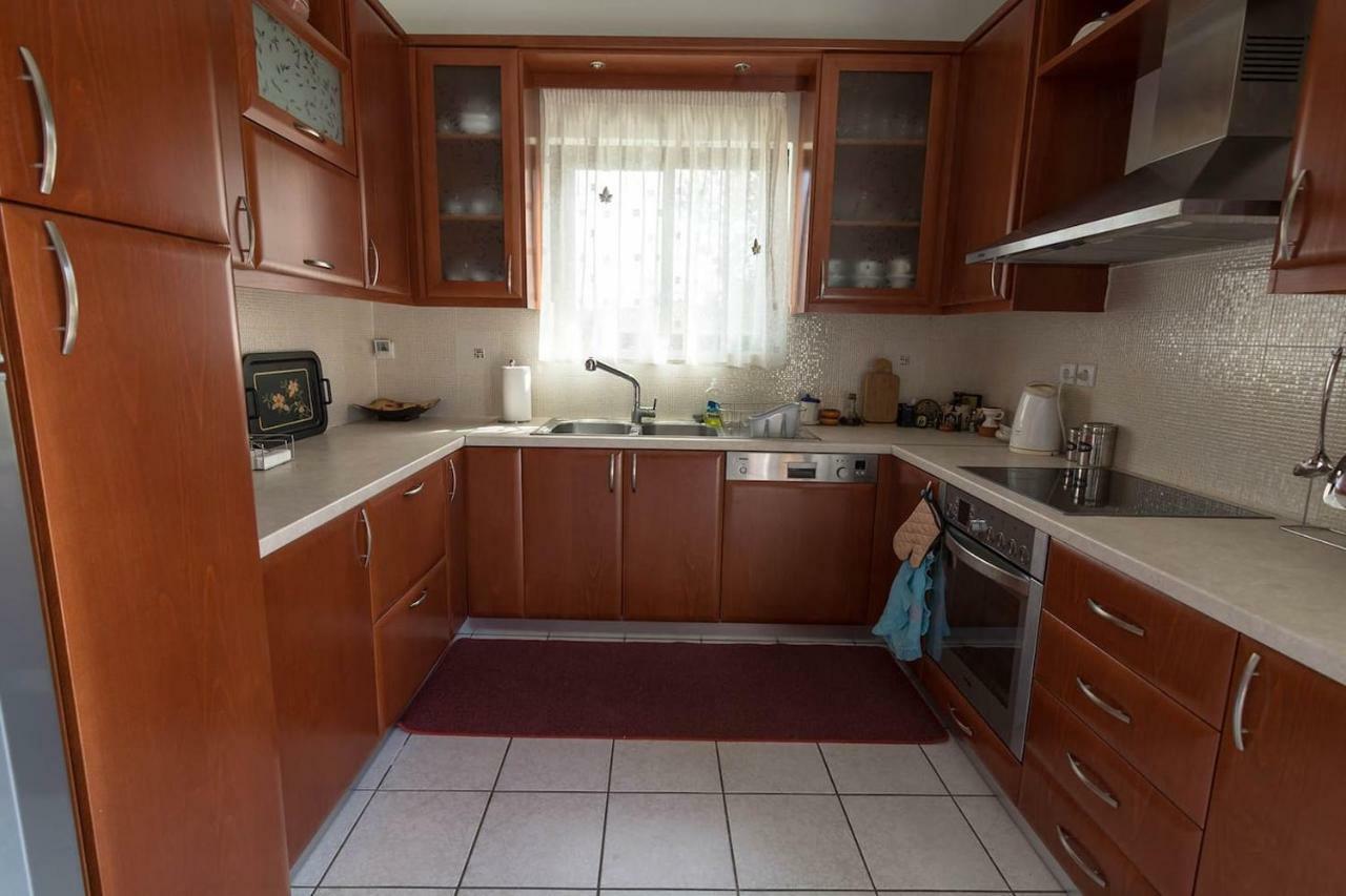 Big Family House In Mesochoria Village Екстер'єр фото